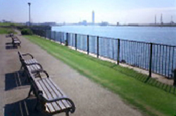 海の見える風景