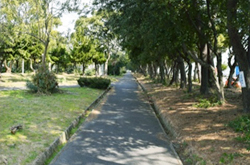 広大な芝生広場