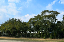 海の見える風景