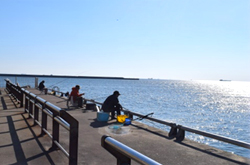 広大な芝生広場