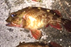 海の見える風景